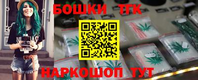 индика Усть-Илимск