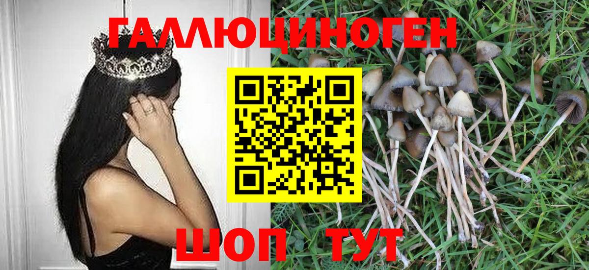 Галлюциногенные грибы MAGIC MUSHROOMS  Галлюциногенные грибы мухоморы  Дербент  Вход с VPN 