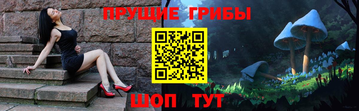 Псилоцибиновые грибы мухоморы Дербент