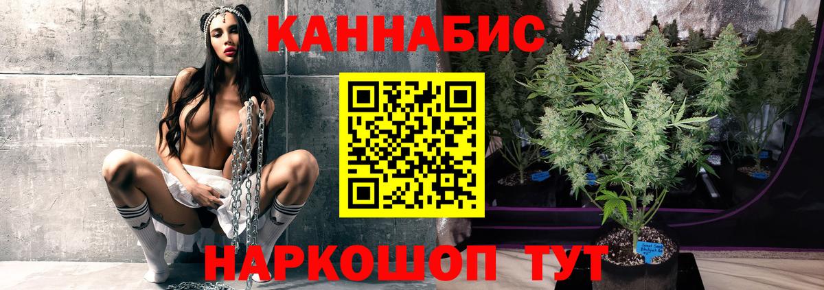 Шишки марихуана гибрид Дербент